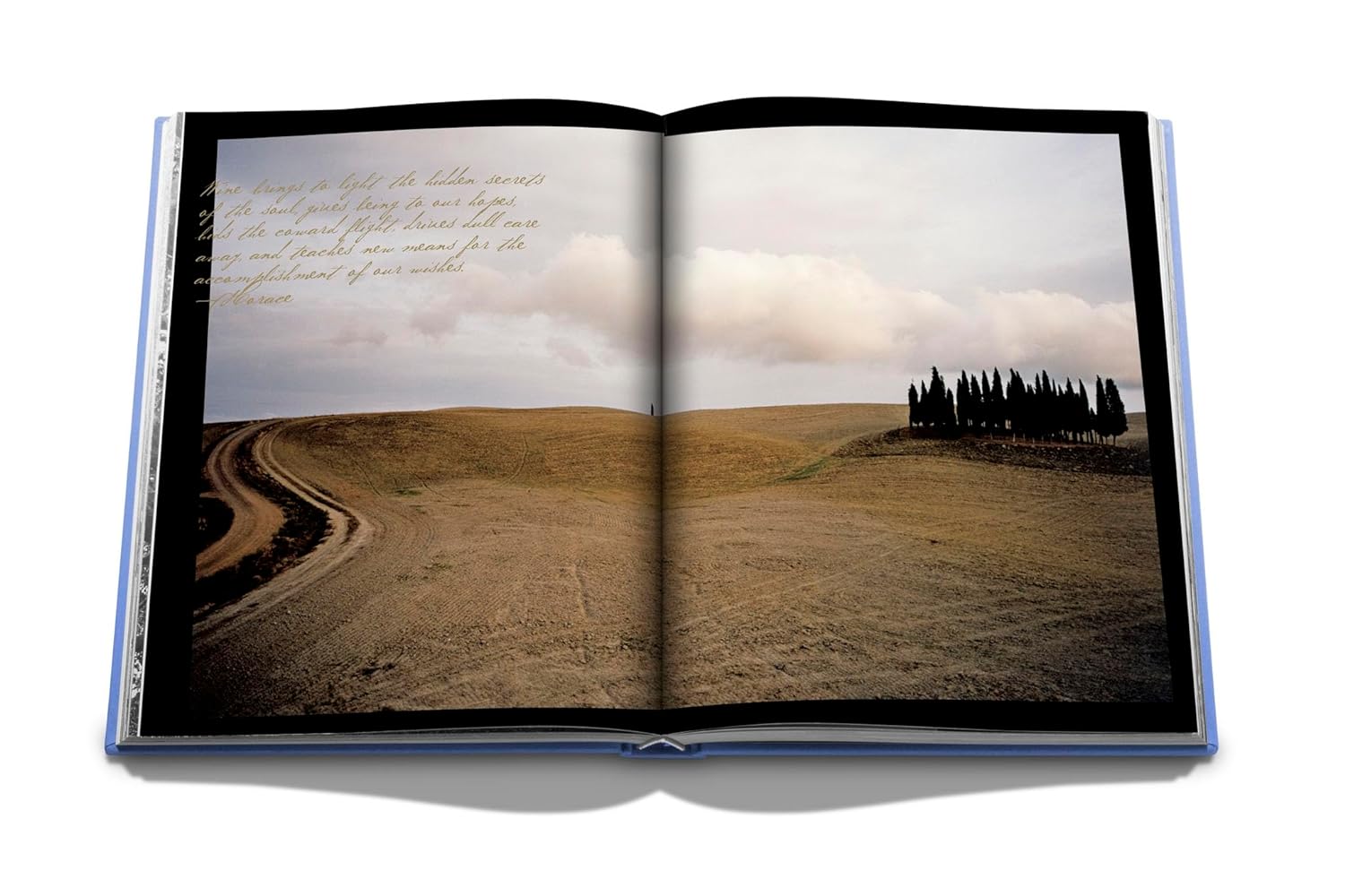 Livro - The Italian Dream: Wine, Heritage, Soul