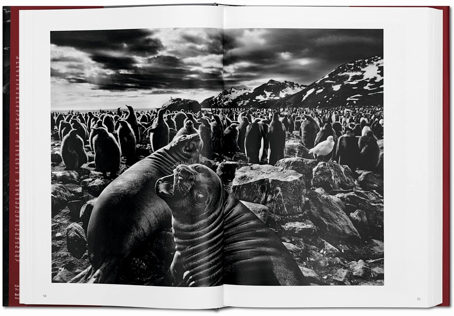 Genesis - Sebastião Salgado