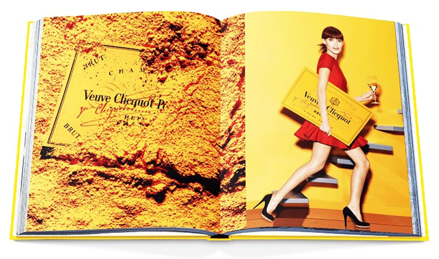 Livro - Veuve Clicquot: The Color of Excellence