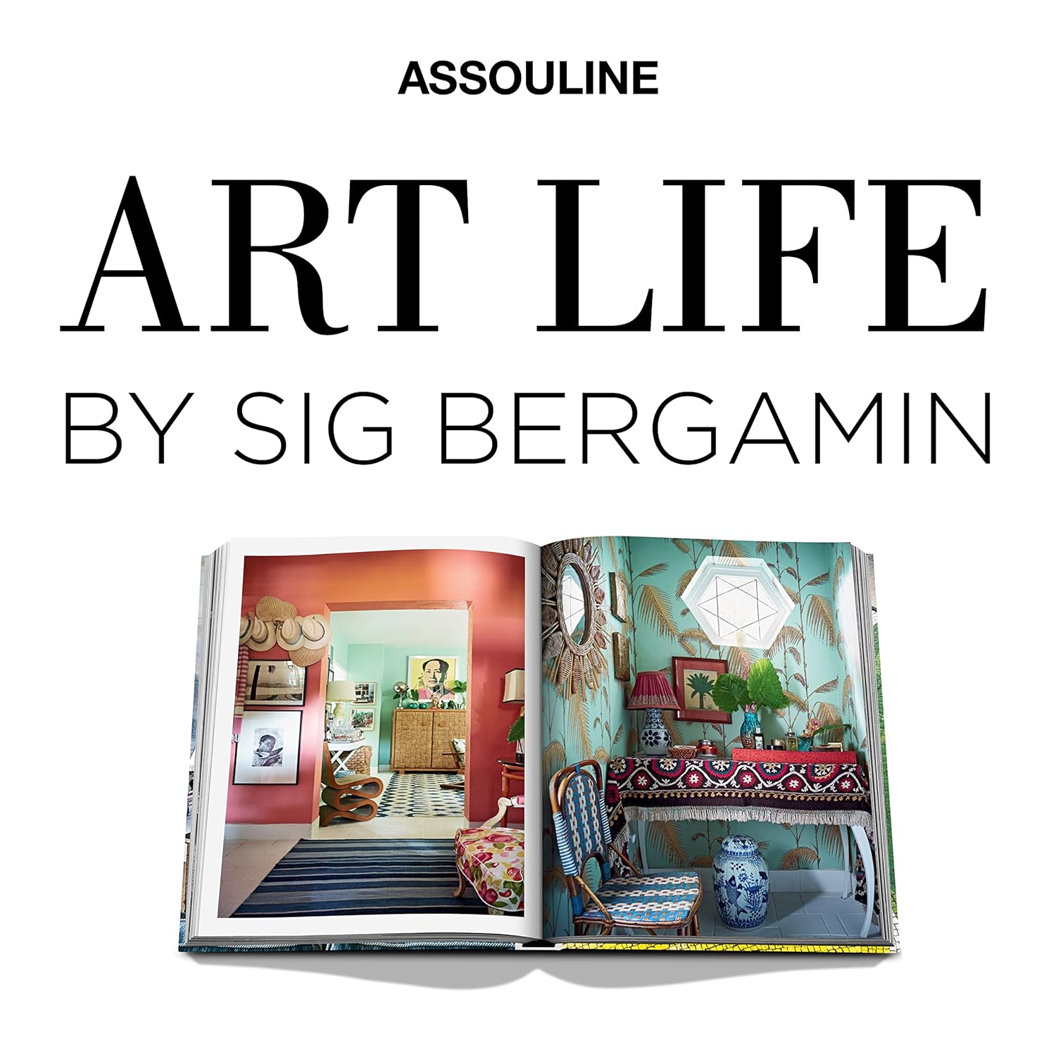 Livro ART LIFE BY SIG BERGAMIN