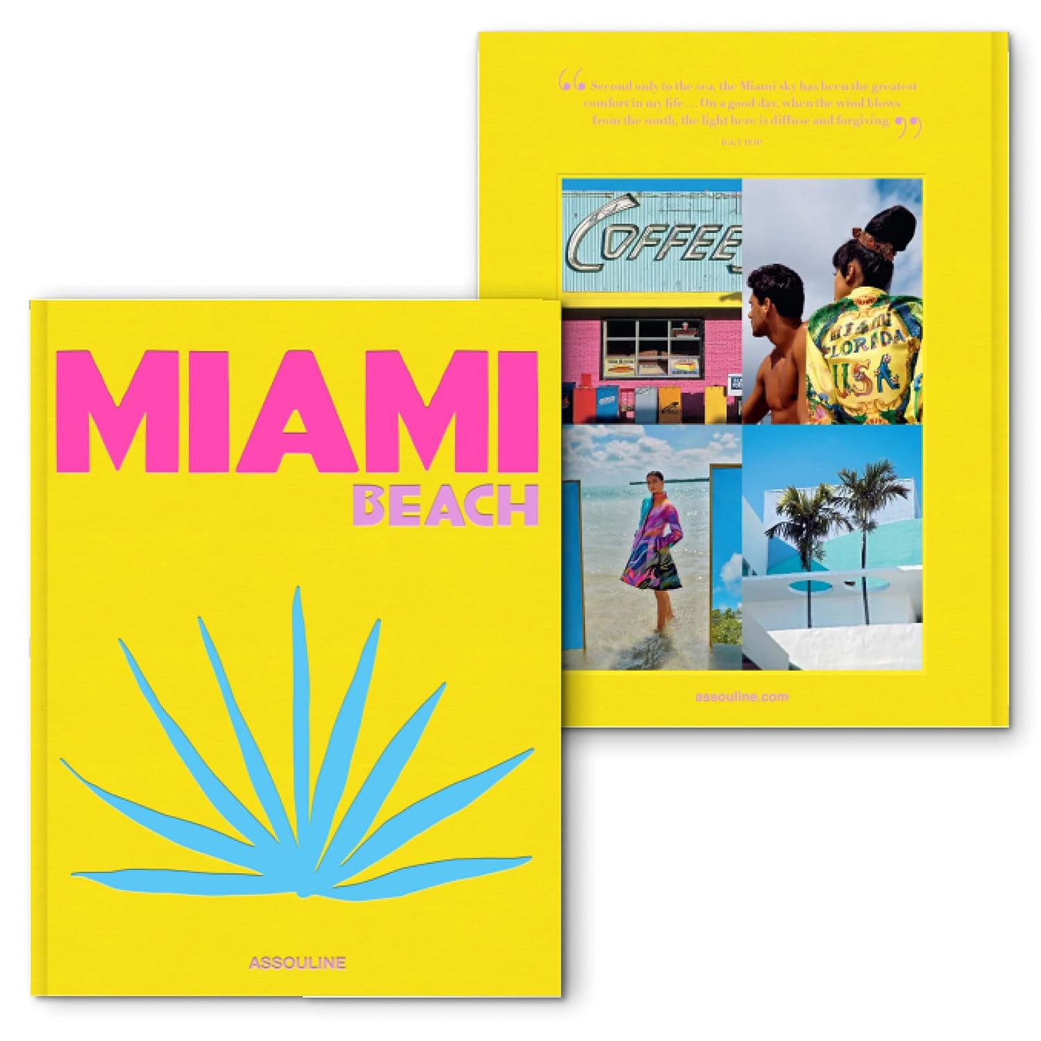 Livro MIAMI BEACH