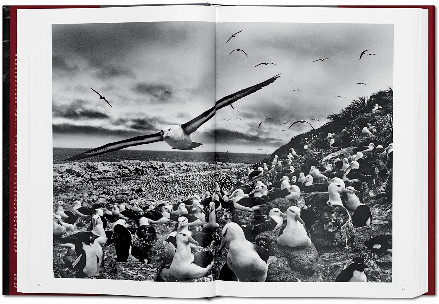 Genesis - Sebastião Salgado