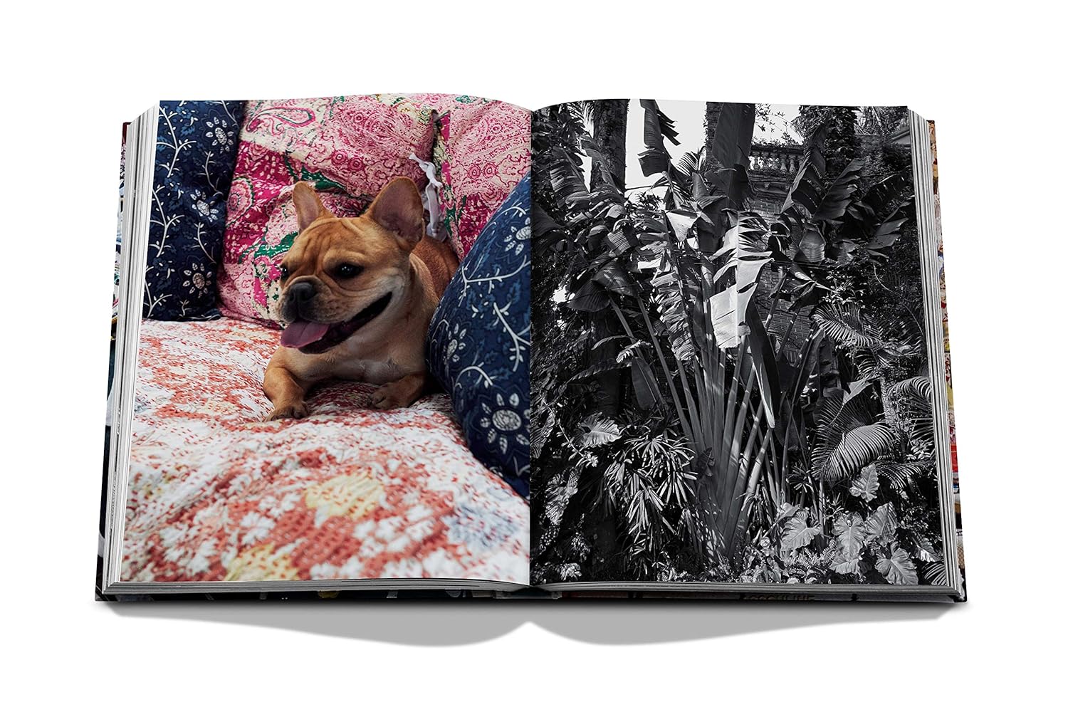 Livro Maximalism By Sig Bergamin Edição 2018